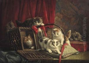 Kittens Playing