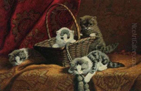Playing Kittens - view 1