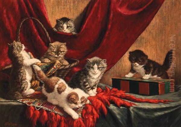 Playful Kittens - view 1