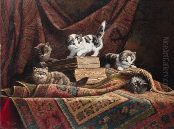 Kittens - view 1