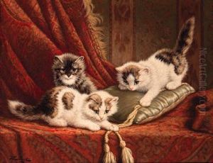 Kittens Playing