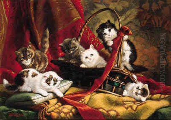 Kittens - view 1