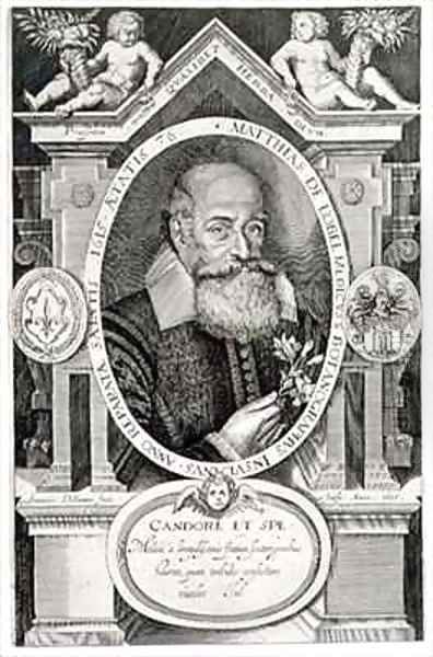 Portrait of Matthias de Lobel 1538-1622 - view 1