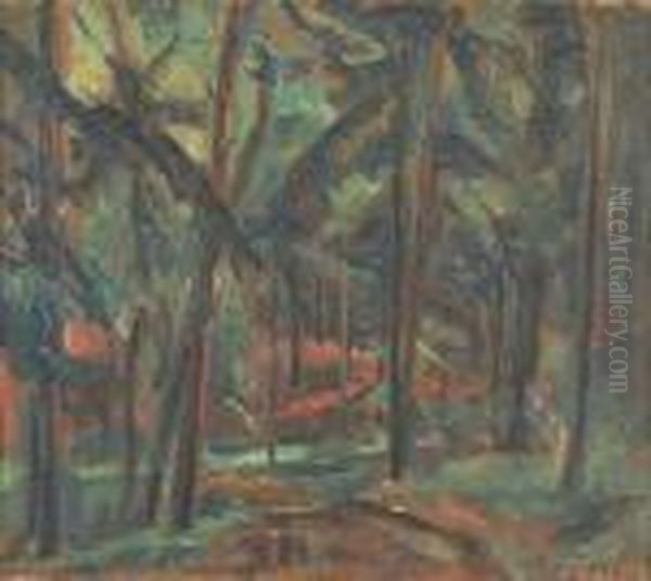 Cesta Lesem - view 1