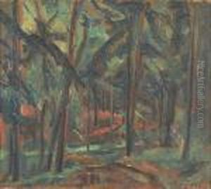 Cesta Lesem by Vaclav Rabas