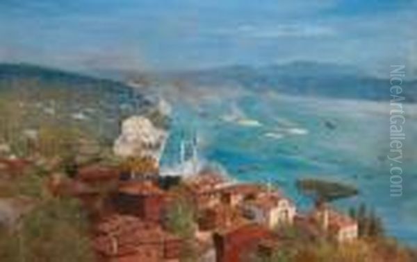 Veduta Di Istanbul Con Il Palazzo Di Dolmabahce E La Moschea Di Atakoy - view 1