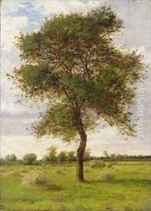 Study of an Ash Tree in Summer by James Hey Davies