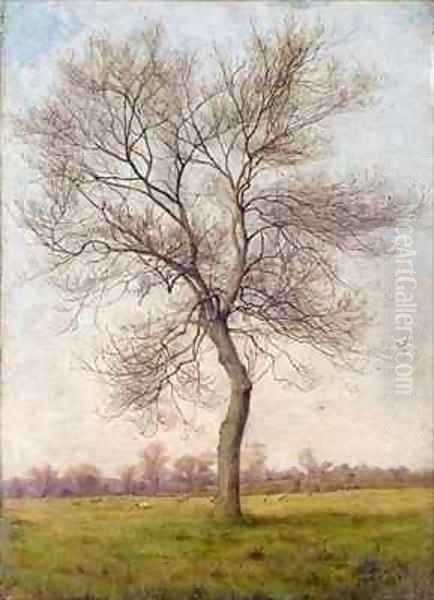 Study of an Ash Tree in Winter - view 1