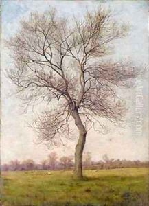 Study of an Ash Tree in Winter by James Hey Davies