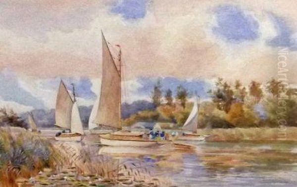 Salhouse Broad - view 1