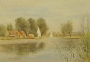 Surlingham Ferry