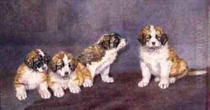 Puppies in Council by Rupert Arthur Dent