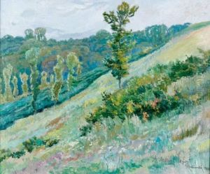 Paysage Paysage
