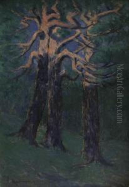 Pine - view 1