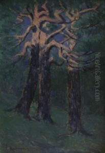 Pine by Vaclav Radimsky