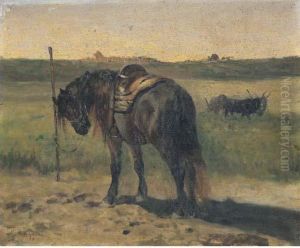 Cavallo Nel Paesaggio