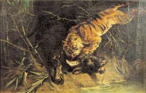 Bufalo Assalito Da Una Tigre by Giuseppe Raggio