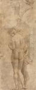 A Standing Male Nude by Marcantonio Raimondi