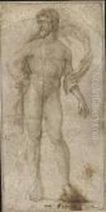 A Standing Male Nude