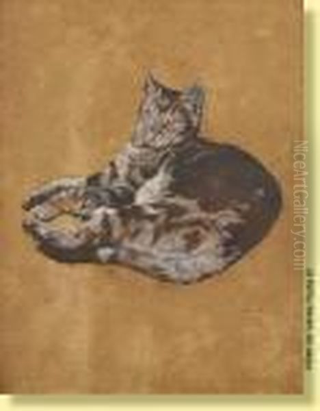 Chat Couche - view 1
