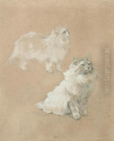 Study Of Two Cats - view 1