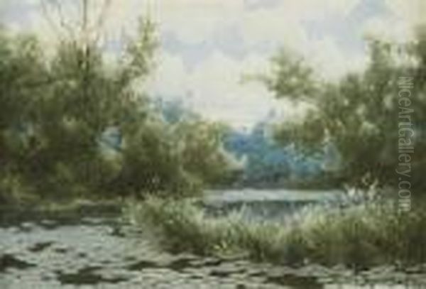 Stream With Lily Pads - view 1