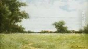 Pasture With Wildflowers Pasture With Wildflowers
