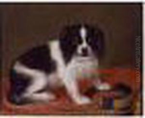 Portrait Of A Toy Spaniel by Jean Ranc