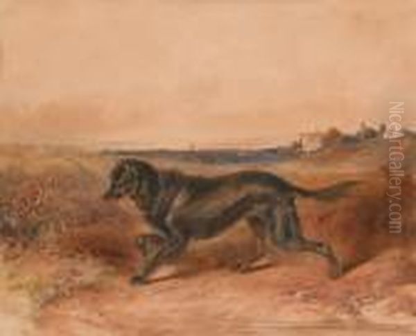 Streunender Hund - view 1