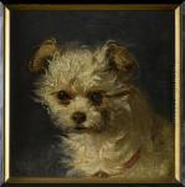 Study Of A Terrier's Head - view 1