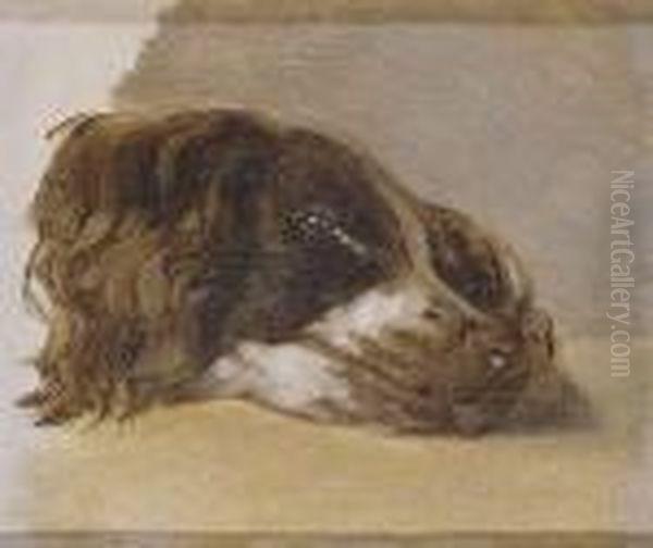 Cabeza De Perro - view 1