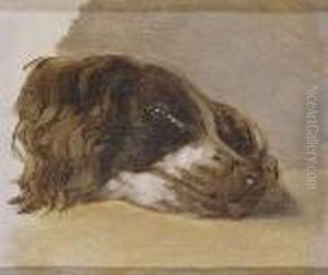 Cabeza De Perro by Johann Matthias Ranftl