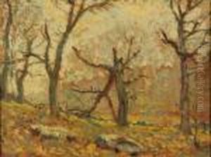 Woodland View