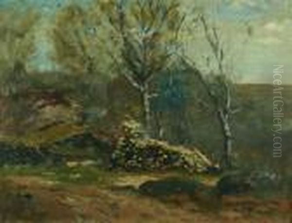 Woodpile In The Woods - view 1