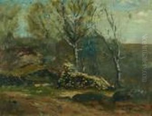 Woodpile In The Woods