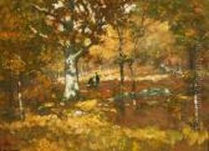 In The Woods