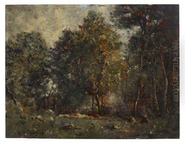 Landscape - view 1