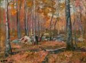 Forest Landscape