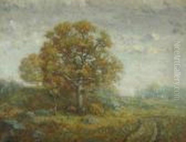 Summer Landscape - view 1