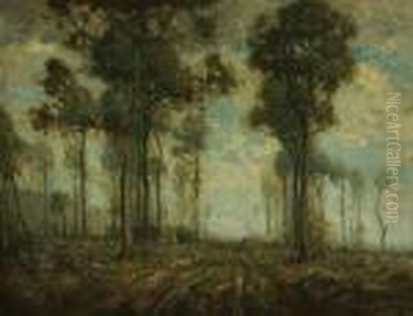 ''outskirts Of The Woods'' - view 1