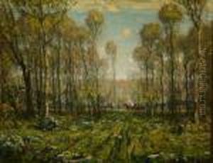 The Forest Road, Early Spring