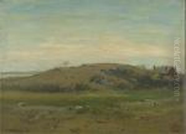 A Rocky Meadow - view 1