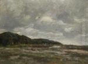 The Edge Of The Wood