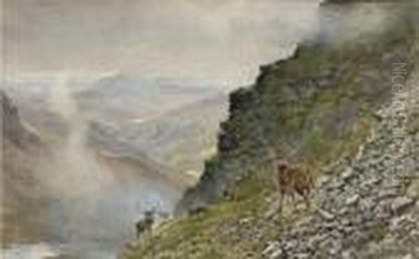 Stags In A Highland Landscape - view 1
