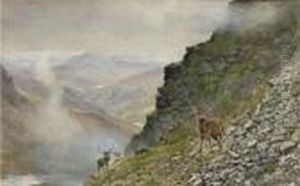 Stags In A Highland Landscape by Andrew Scott Rankin
