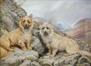 Portrait Of Cairn Terriers ``morag And Speirach`` by Andrew Scott Rankin