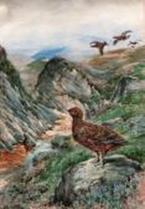 Grouse On The Scottish Moors by Andrew Scott Rankin