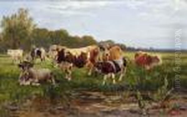 Kuhe Auf Sonniger Weide - view 1