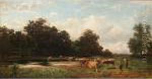 Cattle Watering