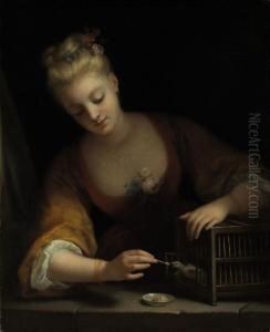 Jeune Fille Faisant Manger Des Oiseaux